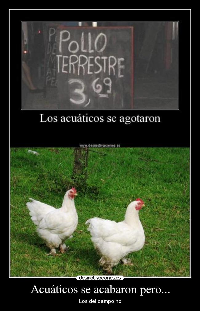 Acuáticos se acabaron pero... -