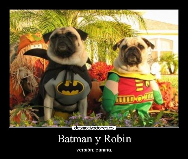 Batman y Robin - versión: canina.