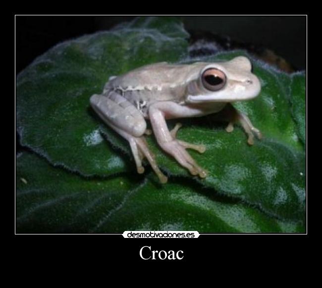 Croac -