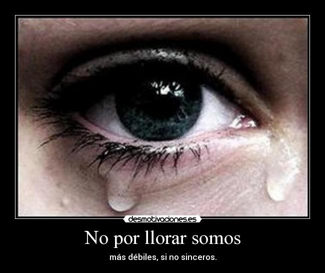 No por llorar somos - 