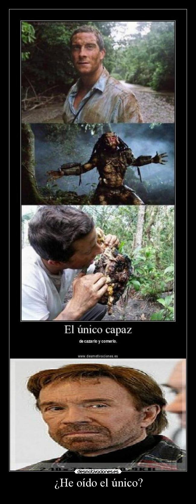 ¿He oído el único? -