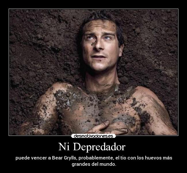 Ni Depredador -