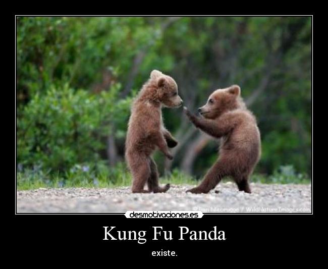 Kung Fu Panda - existe.