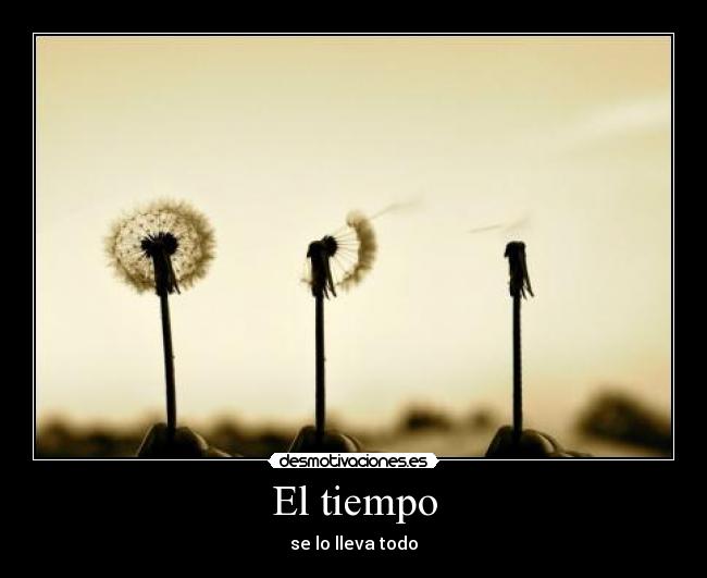 El tiempo - se lo lleva todo