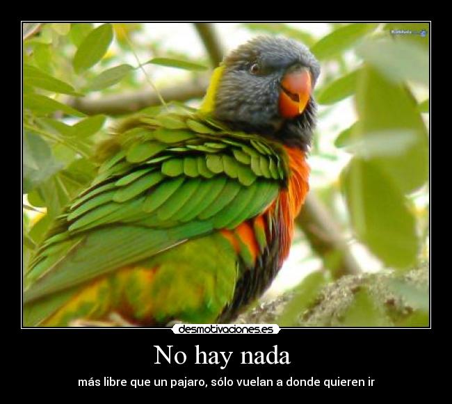 carteles hay nada desmotivaciones