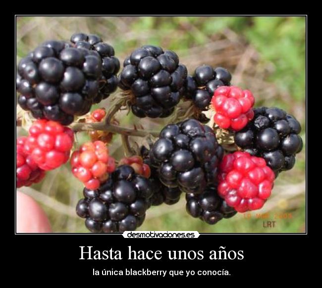 Hasta hace unos años - 