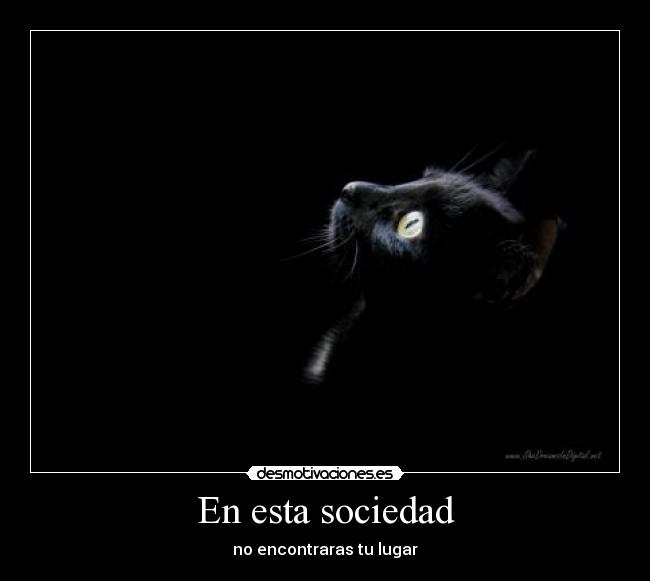 En esta sociedad - no encontraras tu lugar
