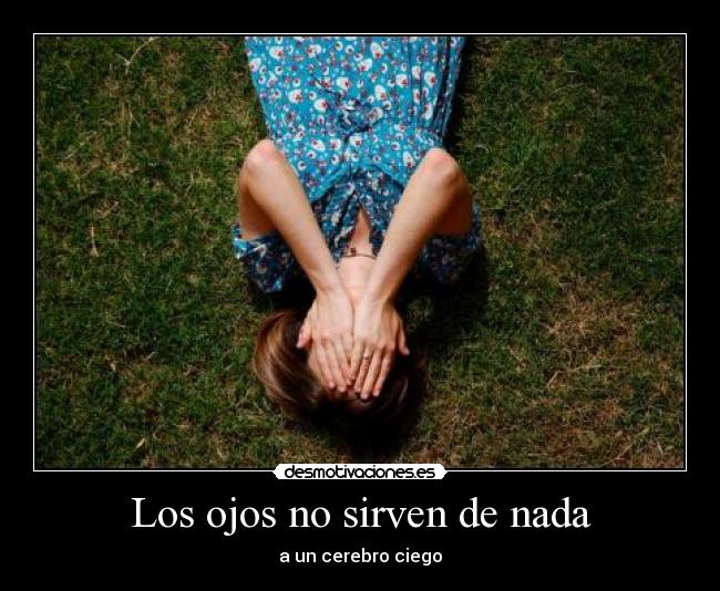 Los ojos no sirven de nada - a un cerebro ciego