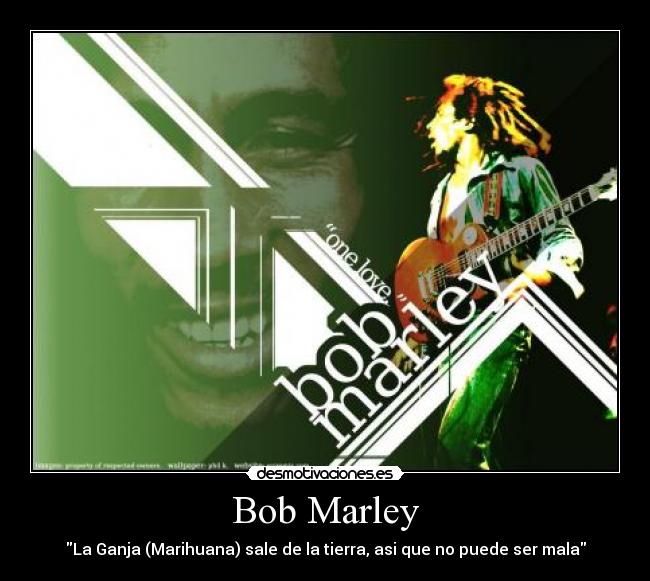 carteles bob desmotivaciones