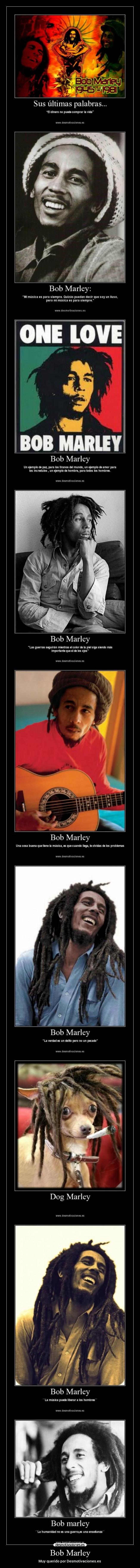 Bob Marley - Muy querido por Desmotivaciones.es