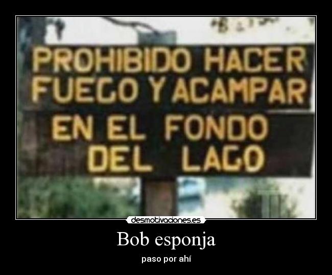 Bob esponja - 