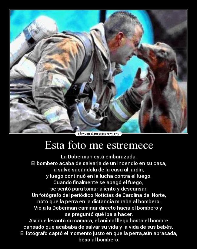 Esta foto me estremece -