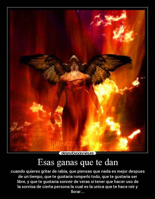 carteles pain dolor desmotivaciones