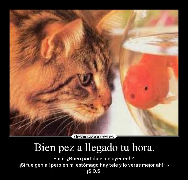 carteles wwwdesmotivacioneses desmotivaciones