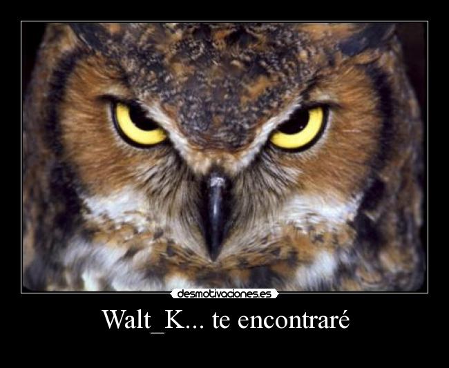 Walt_K... te encontraré -