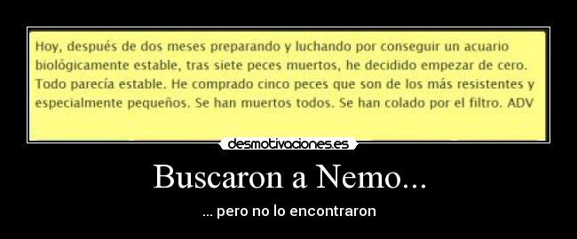 Buscaron a Nemo... - ... pero no lo encontraron