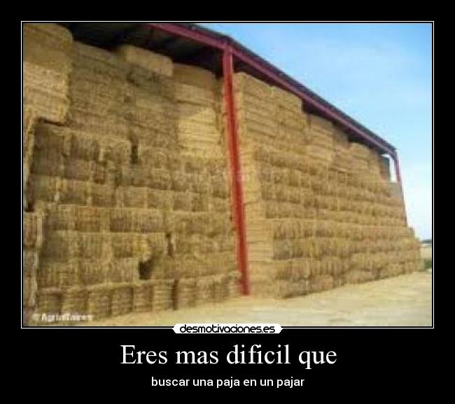 Eres mas dificil que - buscar una paja en un pajar
