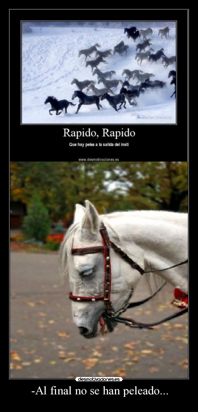 carteles caballo triste desmotivaciones