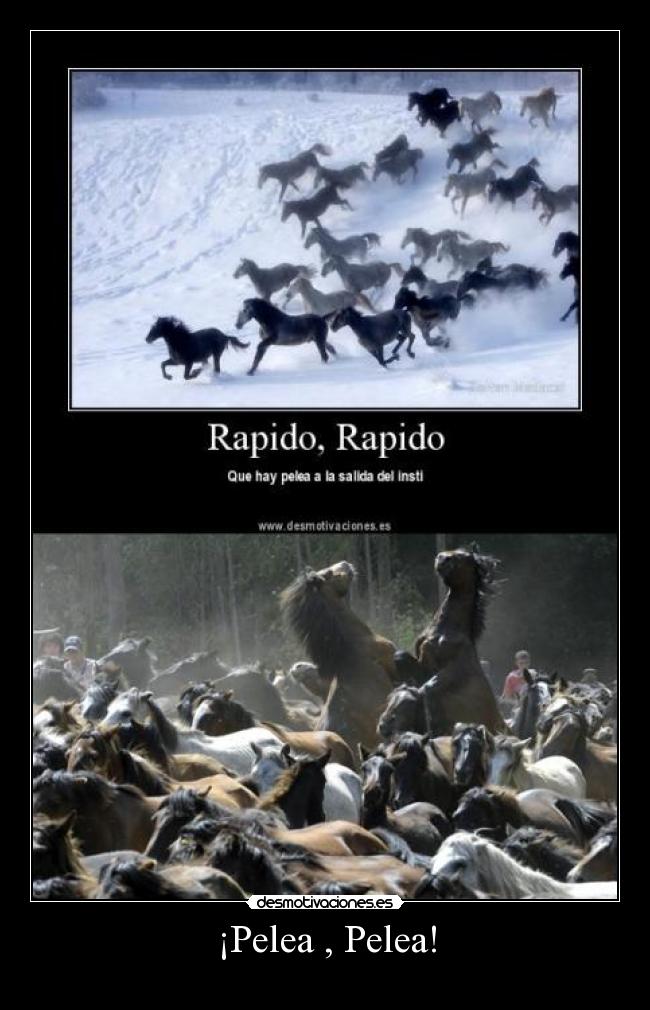 ¡Pelea , Pelea! -