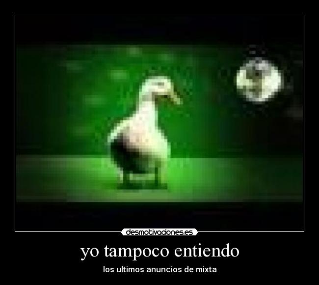 yo tampoco entiendo - 