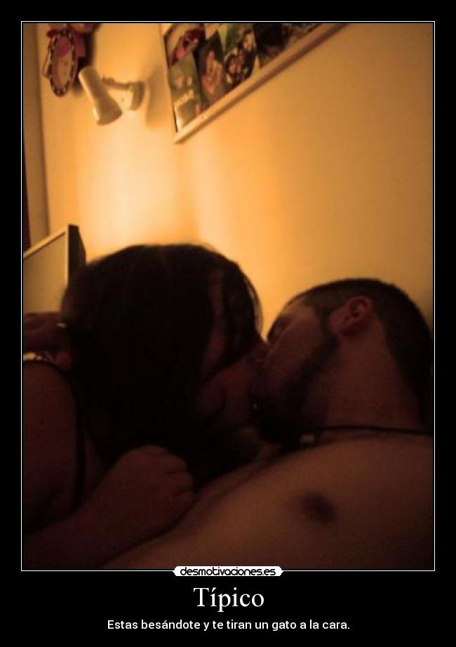 Típico - Estas besándote y te tiran un gato a la cara.