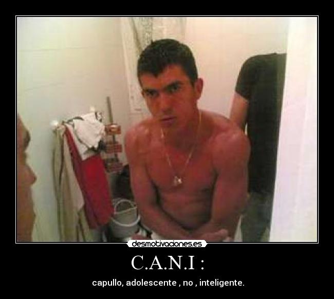 C.A.N.I : -  capullo, adolescente , no , inteligente.