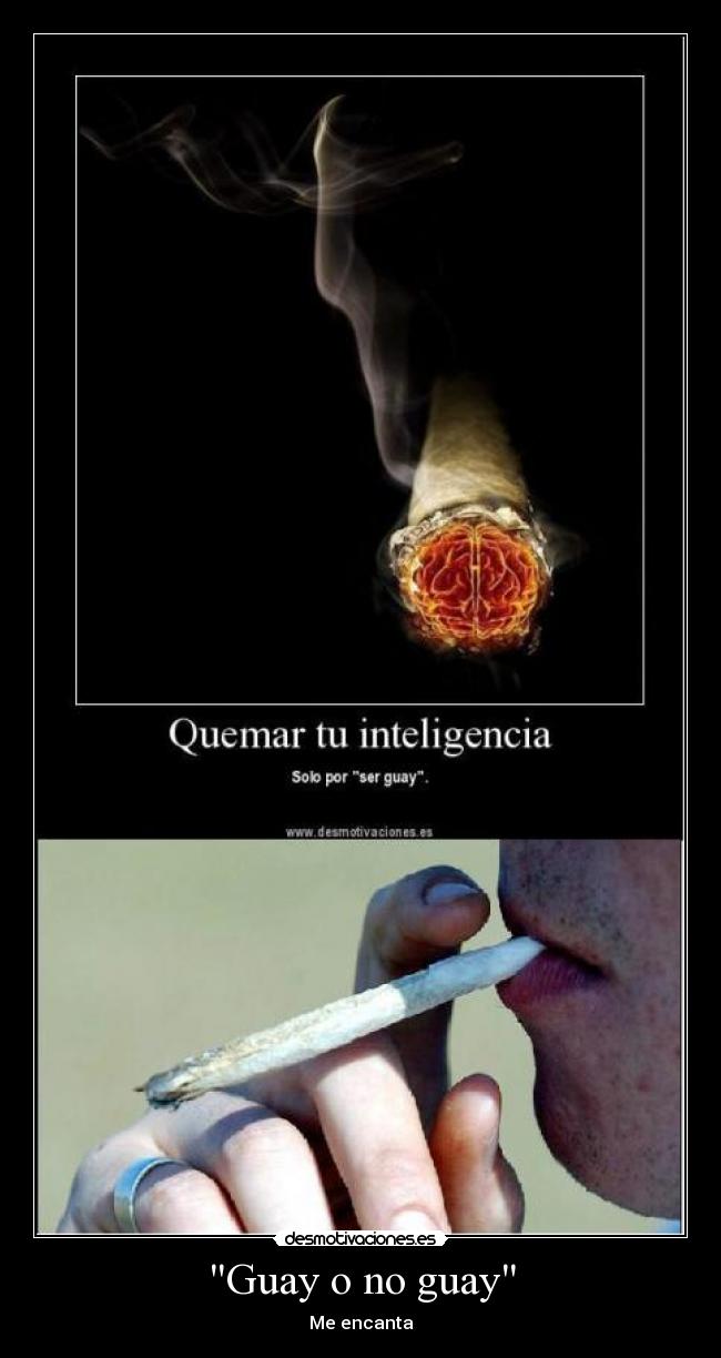 Guay o no guay - Me encanta