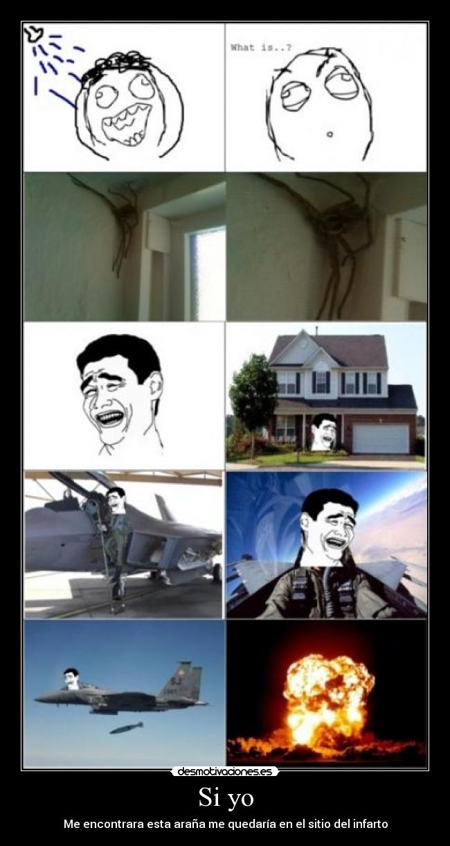 Si yo - Me encontrara esta araña me quedaría en el sitio del infarto