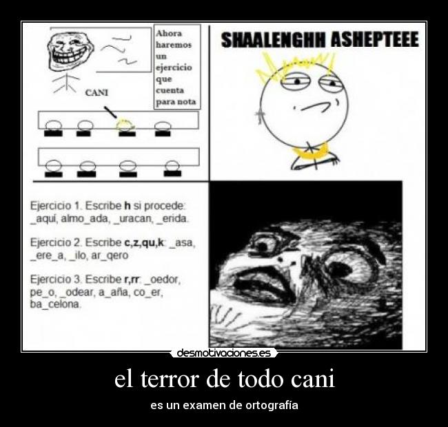 el terror de todo cani - 