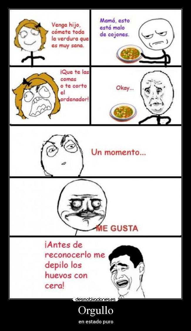 Orgullo - en estado puro