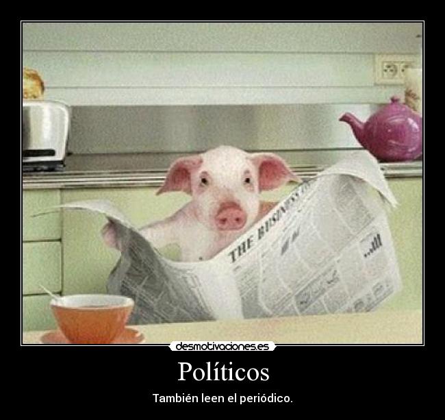 Políticos - También leen el periódico.