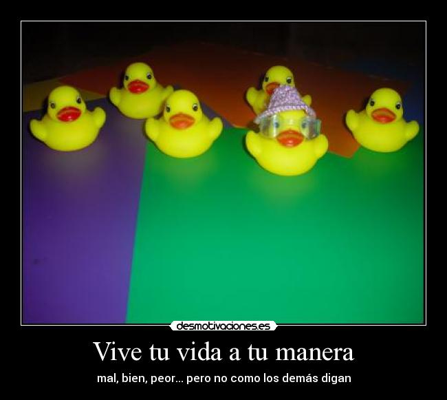Vive tu vida a tu manera - 