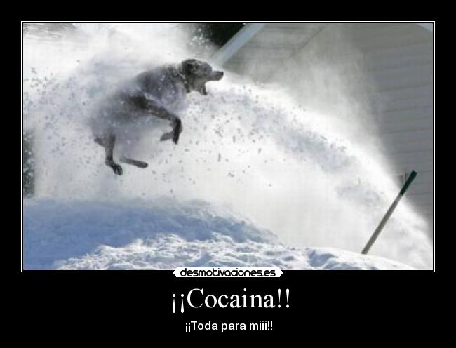 ¡¡Cocaina!! -