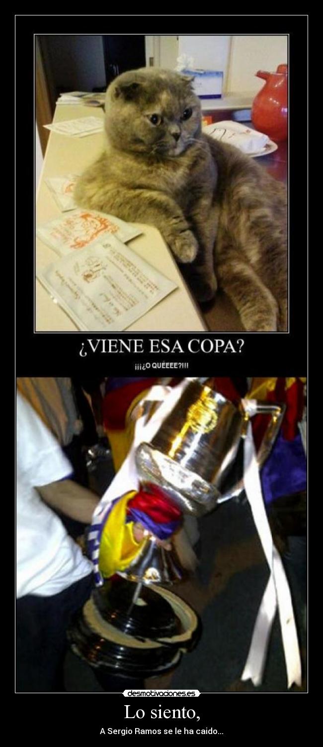 Lo siento, - A Sergio Ramos se le ha caido...