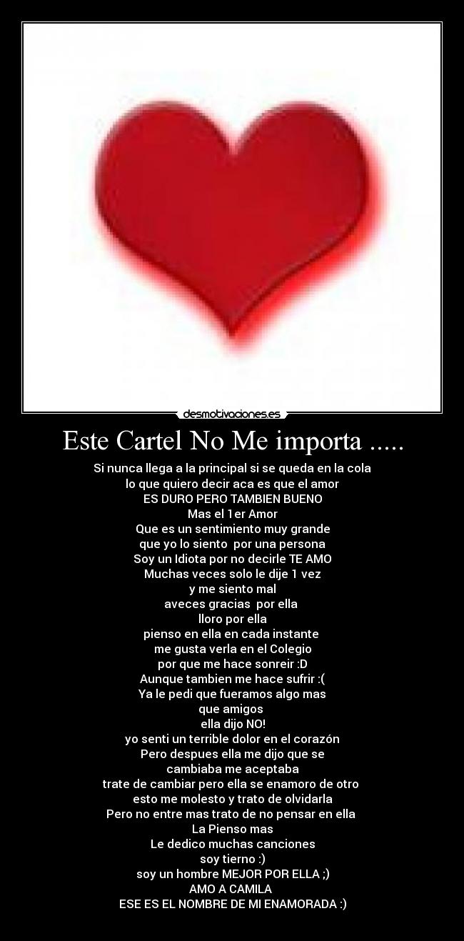 carteles 1er amor desmotivaciones