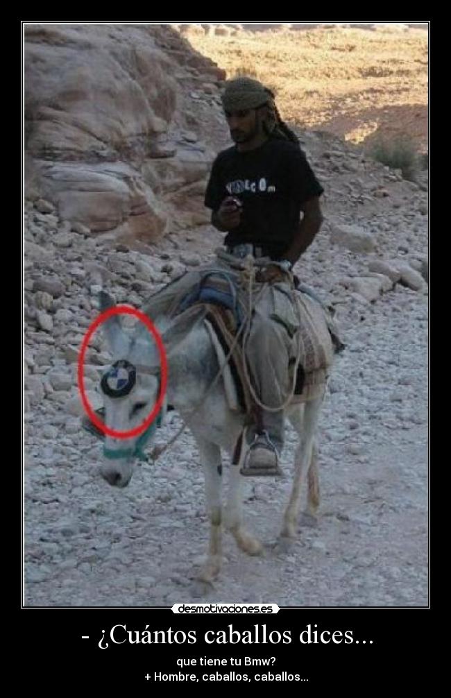 - ¿Cuántos caballos dices... - 