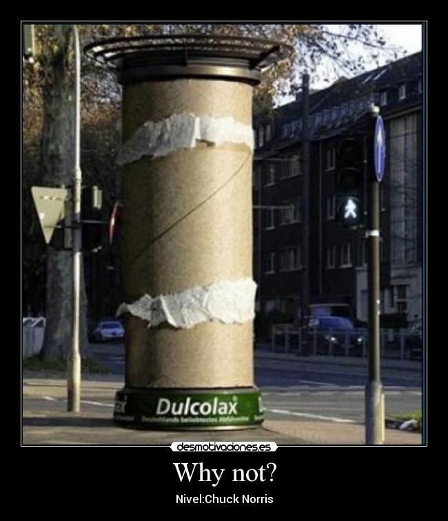 carteles chuck norris why not desmotivaciones