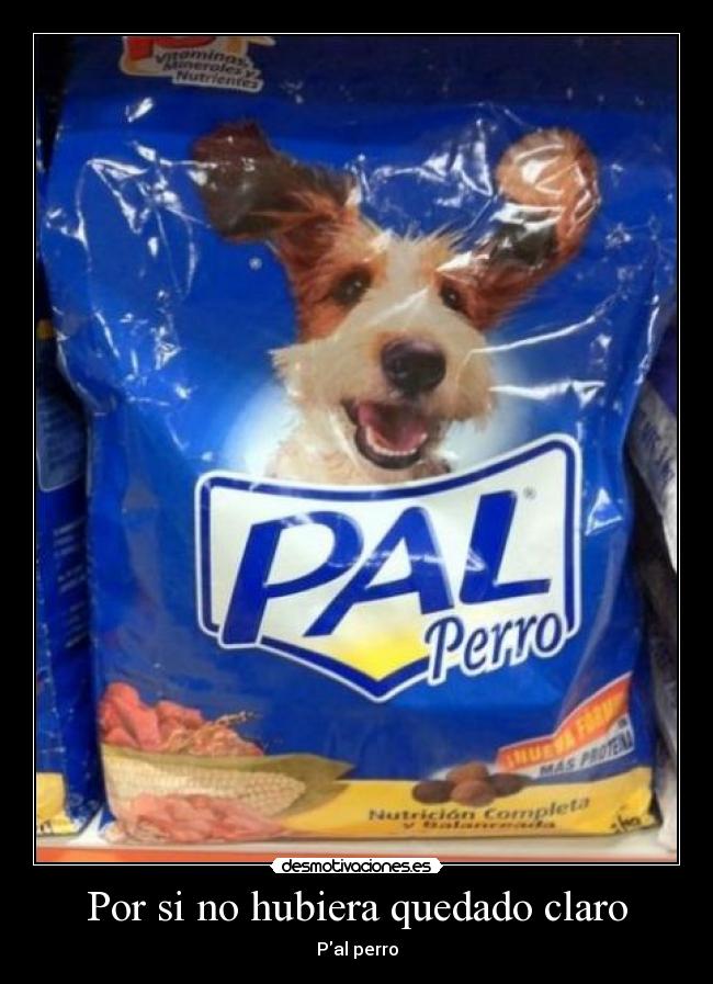 Por si no hubiera quedado claro - Pal perro