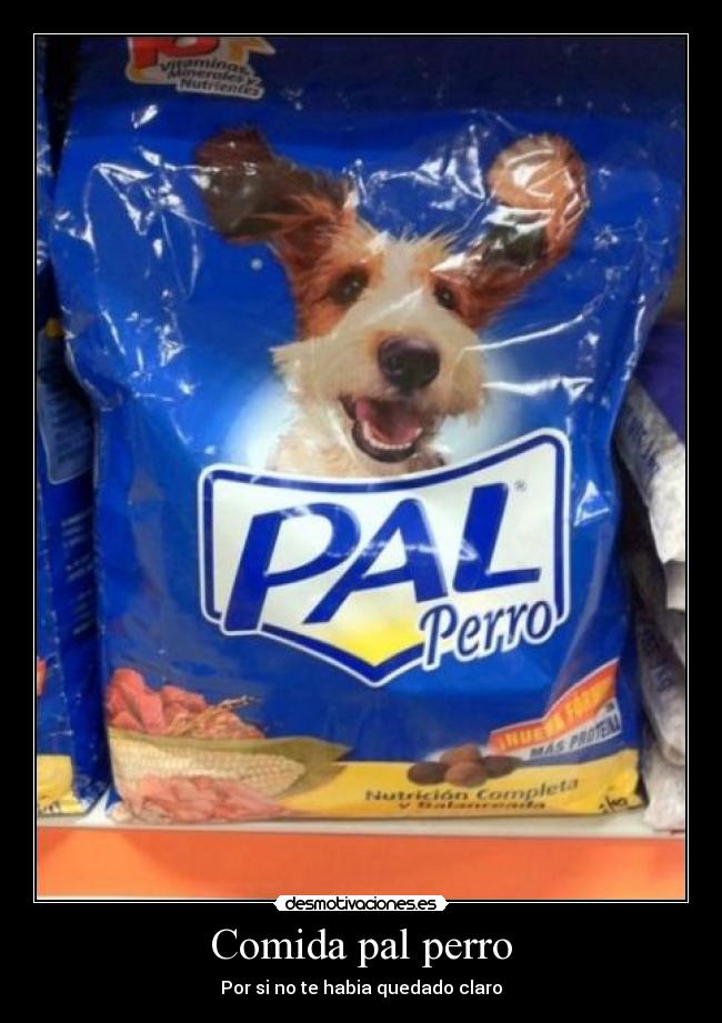 Comida pal perro - 