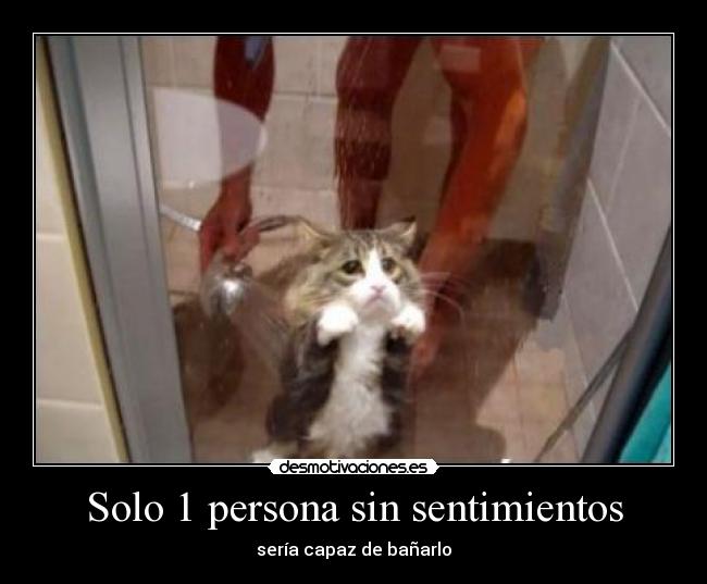 Solo 1 persona sin sentimientos -