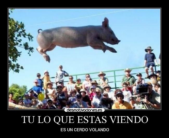 TU LO QUE ESTAS VIENDO -