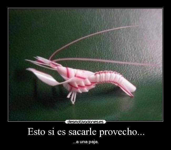 Esto si es sacarle provecho... -