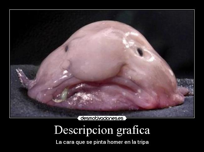 Descripcion grafica -