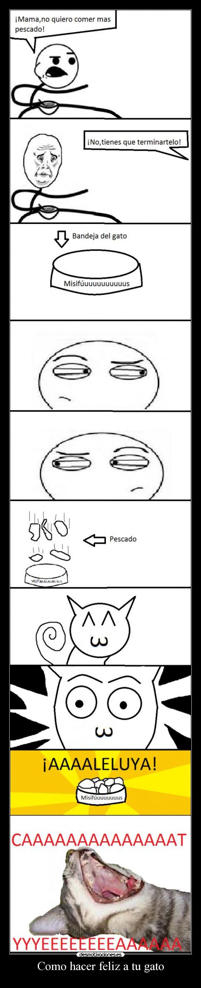 Como hacer feliz a tu gato -