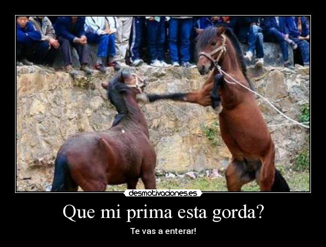 Que mi prima esta gorda? - 