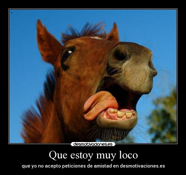 carteles caballo desmotivaciones