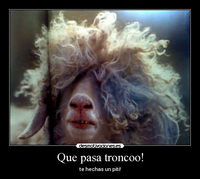 Que pasa troncoo! - te hechas un piti!