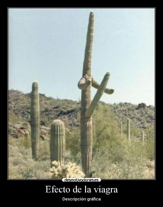 Efecto de la viagra -