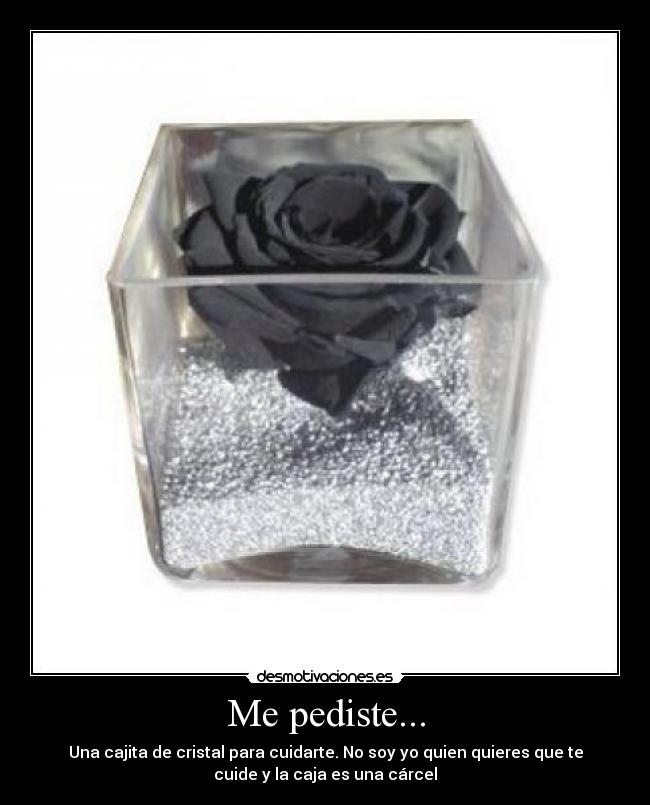 Me pediste... - Una cajita de cristal para cuidarte. No soy yo quien quieres que te
cuide y la caja es una cárcel