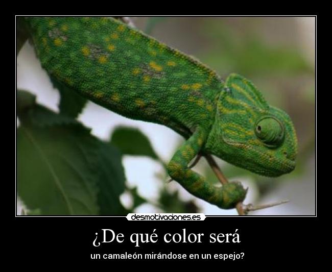¿De qué color será -